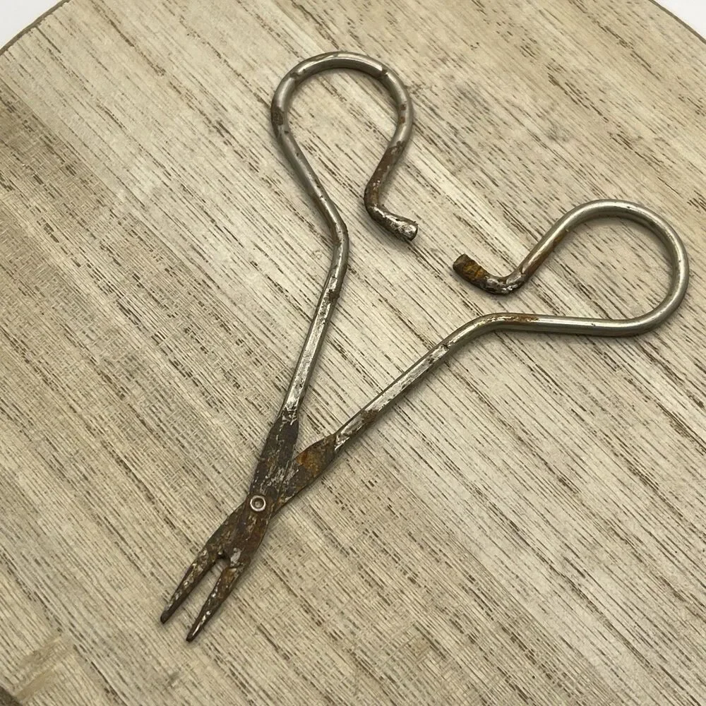 VTG Atq Hemostat Clipper 5” Rusted Tarnished Prop Display